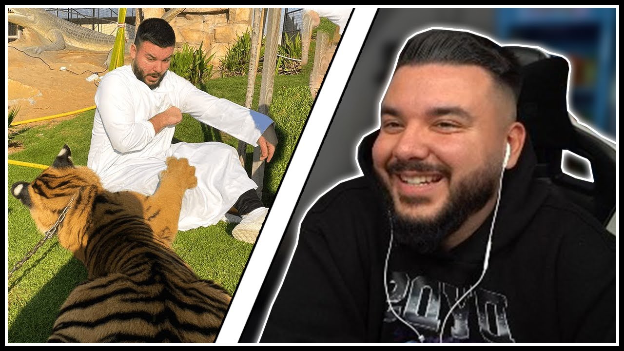 CanBroke REAGIERT auf Tiger greift mich an hinter den Kulissen