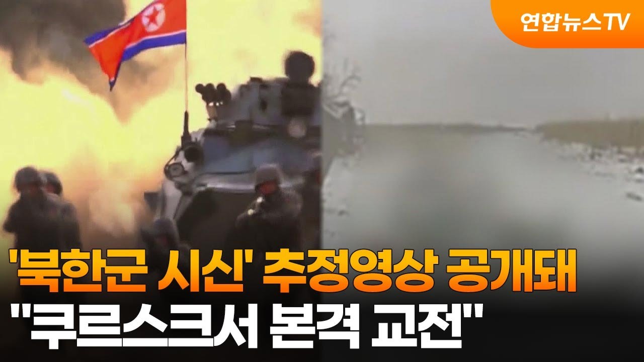 '북한군 시신' 추정영상 공개돼…