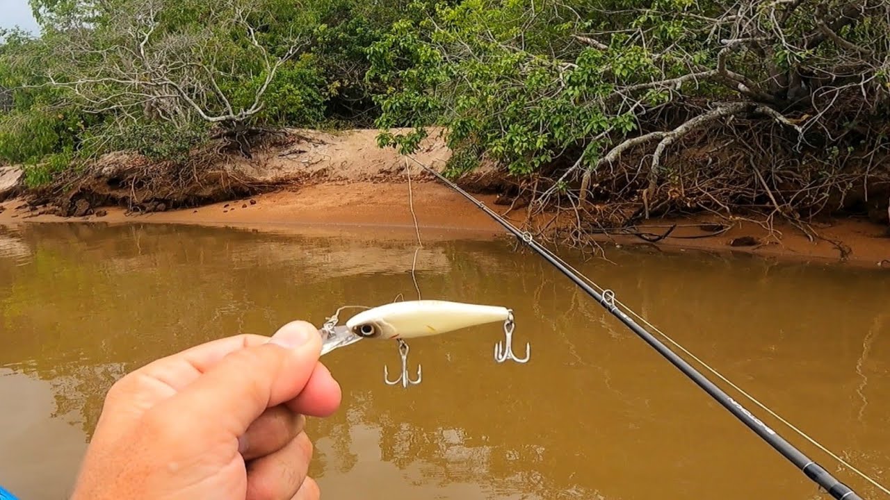 USE ESSA ISCA E PEGUE MUITOS PEIXES. Pescaria de Robalos