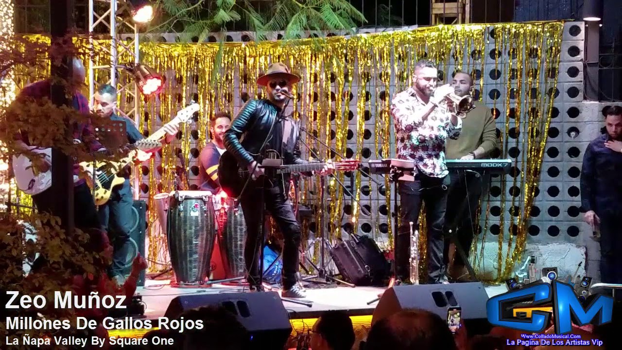 Zeo Muñoz - Millones De Gallos Rojos (LIVE)
