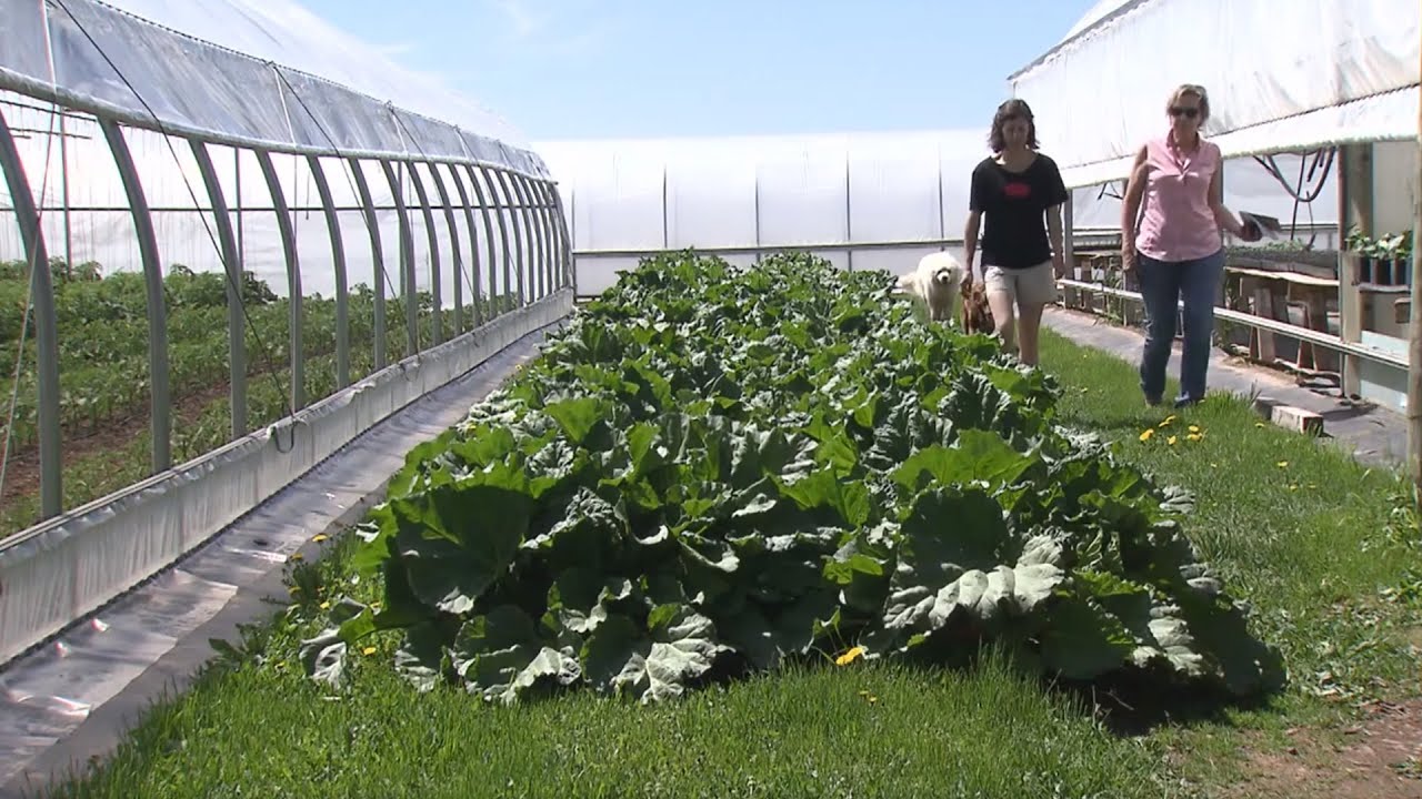 Great Gardening Spring Special 2019