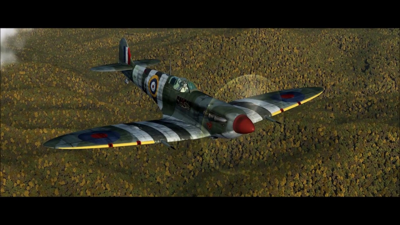 IL-2 BOS Spitfire Mk Vb Invasion Skin