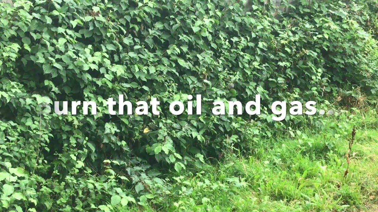Green And Pleasant Land