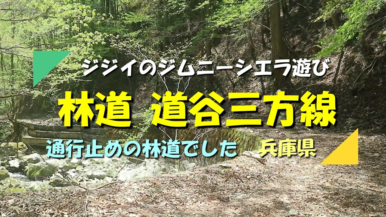 【ジムニー】シエラで走る林道道谷三方線（兵庫県道521号）　★注意！ 2025年5月現在この林道はまだ通行止めでした（兵庫県）