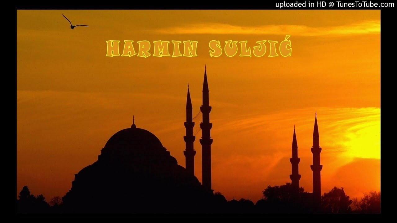 Harmin Suljić - Sekta Ibadije