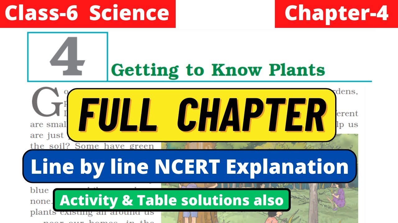 Class 6 Science Chapter 4 Getting to Know Plants Full chapter line by line NCERT Explanation #class6