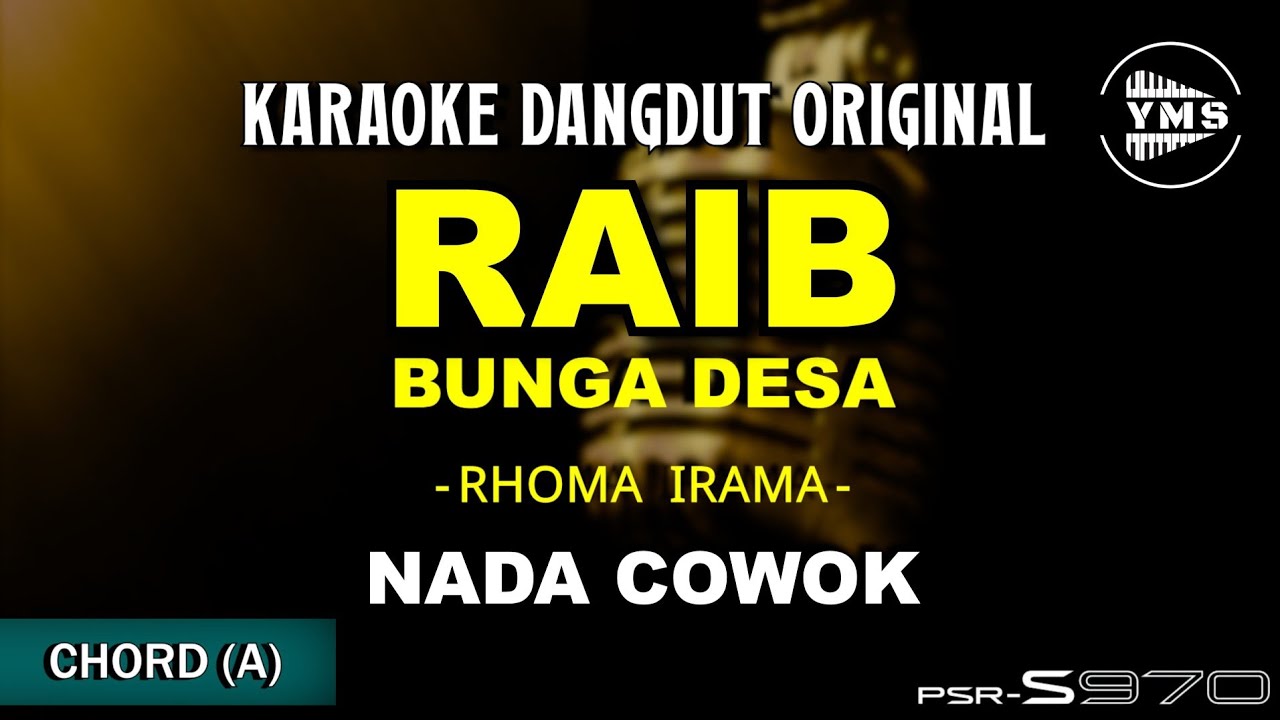 RAIB BUNGA DESA - RHOMA IRAMA || KARAOKE DANGDUT ORIGINAL (NADA COWOK)