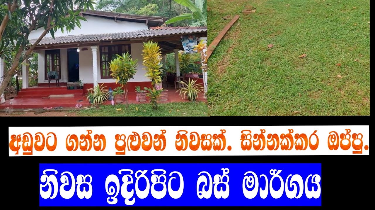 අඩුවට නිවසක් හොයන අයට | sell house matale district in sri lanka | video 258