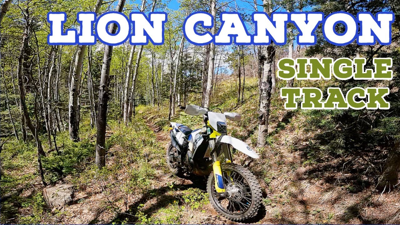 Lion Canyon single track, TE250i, Colorado single track in the mountain, amazing trail