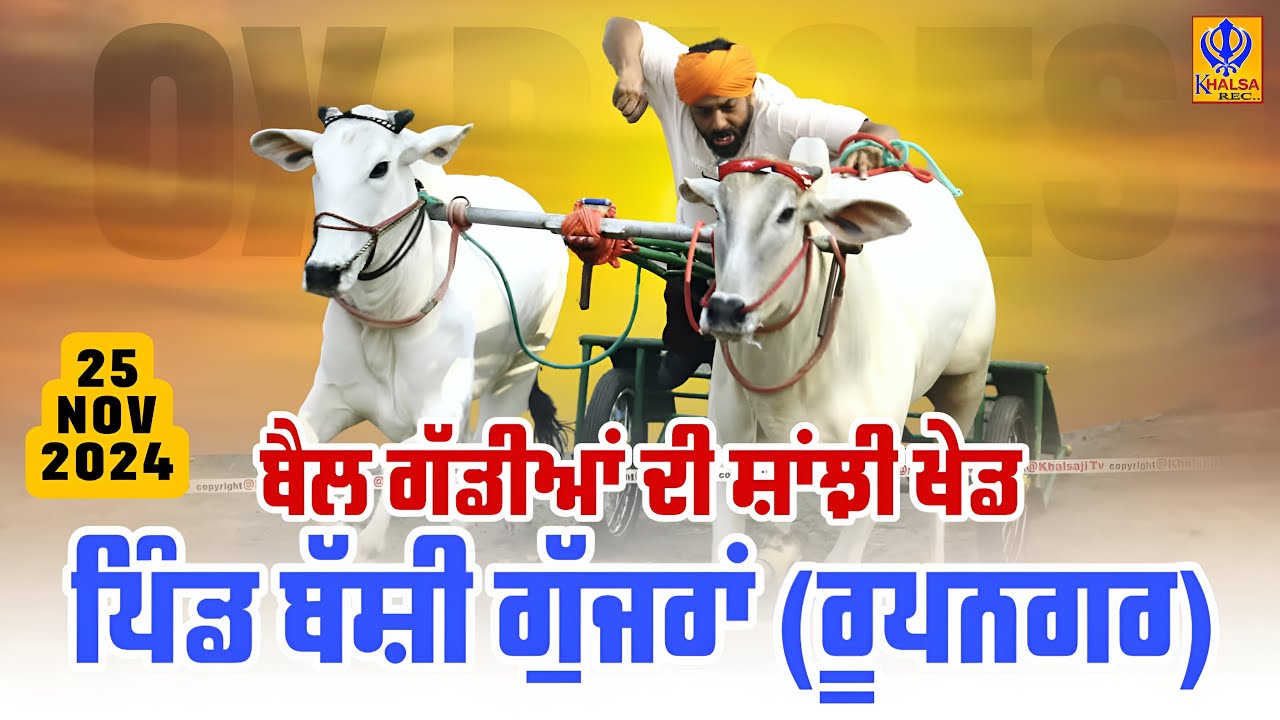 🔴[Live] Bassi Gujjran | Rupnagar | ਬੈਲ ਗੱਡੀਆਂ ਦੀ ਸਾਂਝੀ ਖੇਡ | Ox Races | 25 Nov 2024
