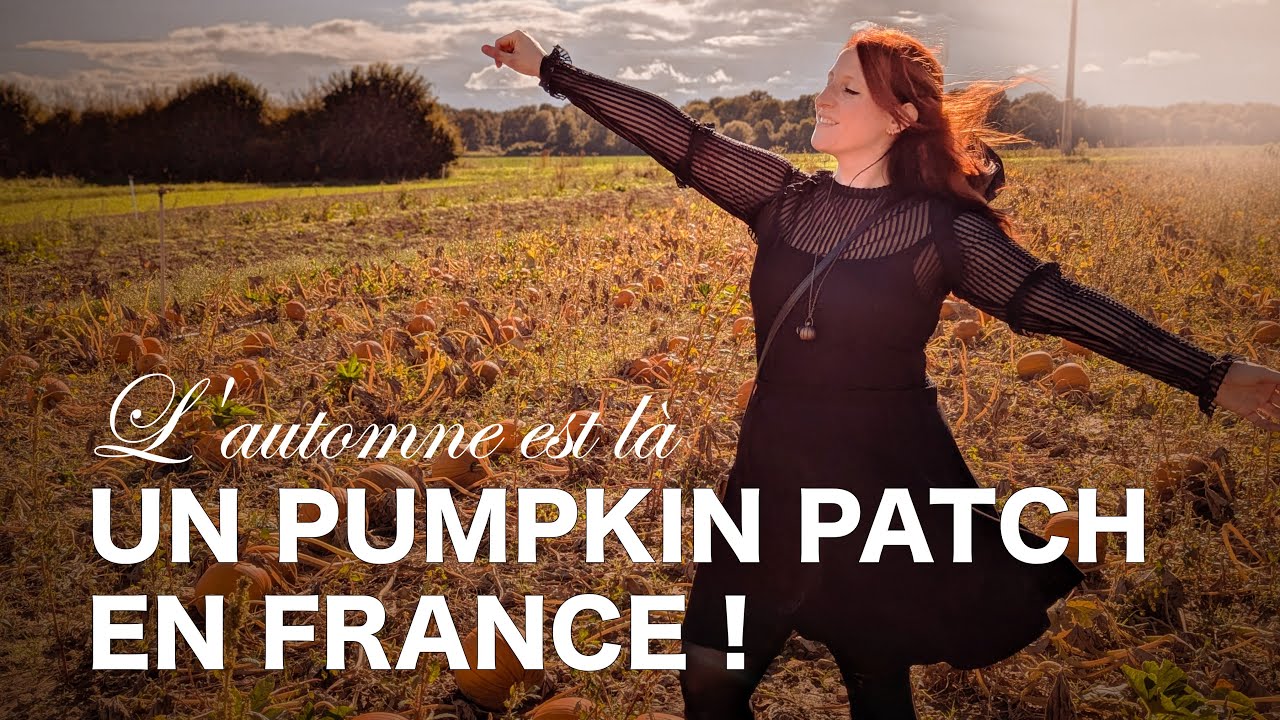 VLOG - Une journée pour préparer l'automne 🍁 Décoration, Pumpkin patch...