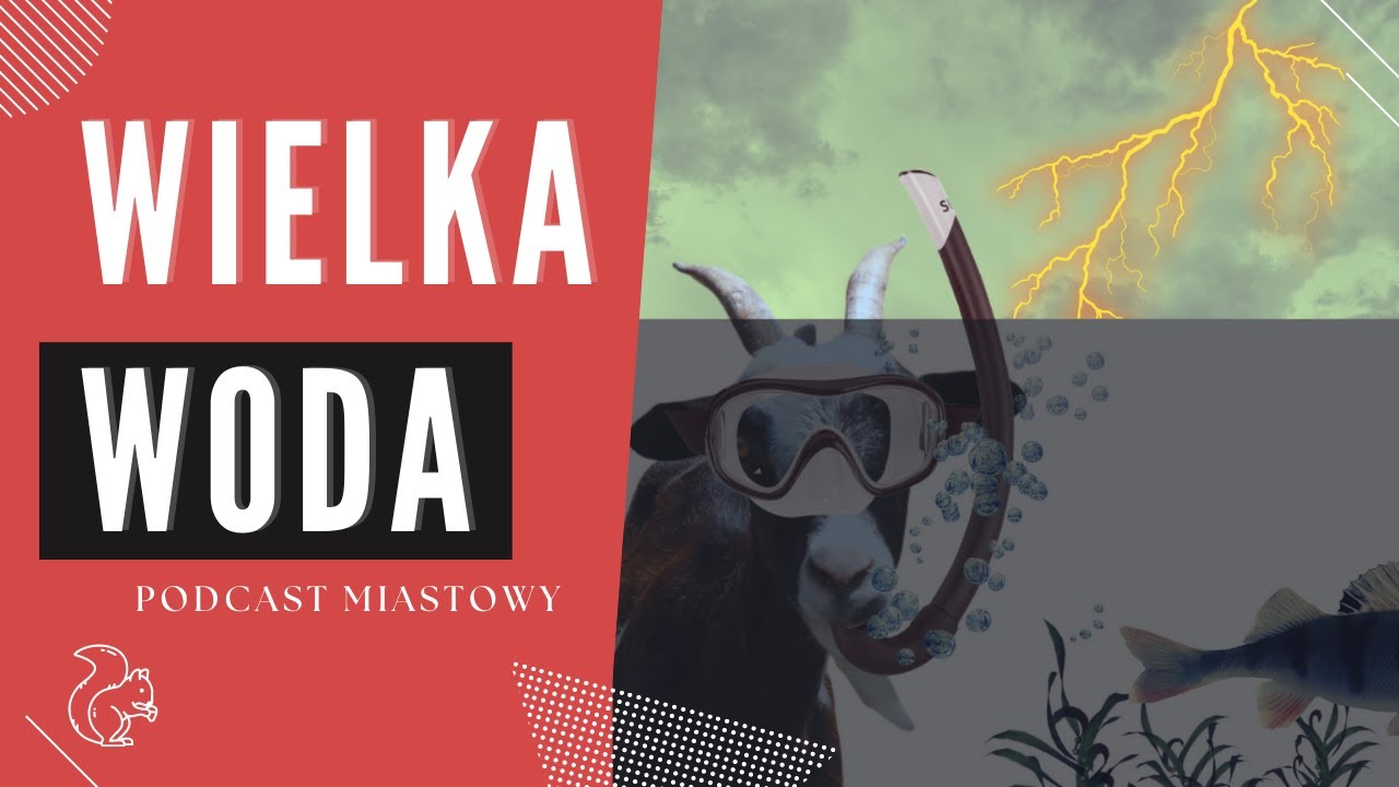 Kędzierzyn-Koźle – rozwój przestrzenny i historia miasta [Wielka Woda 1997]