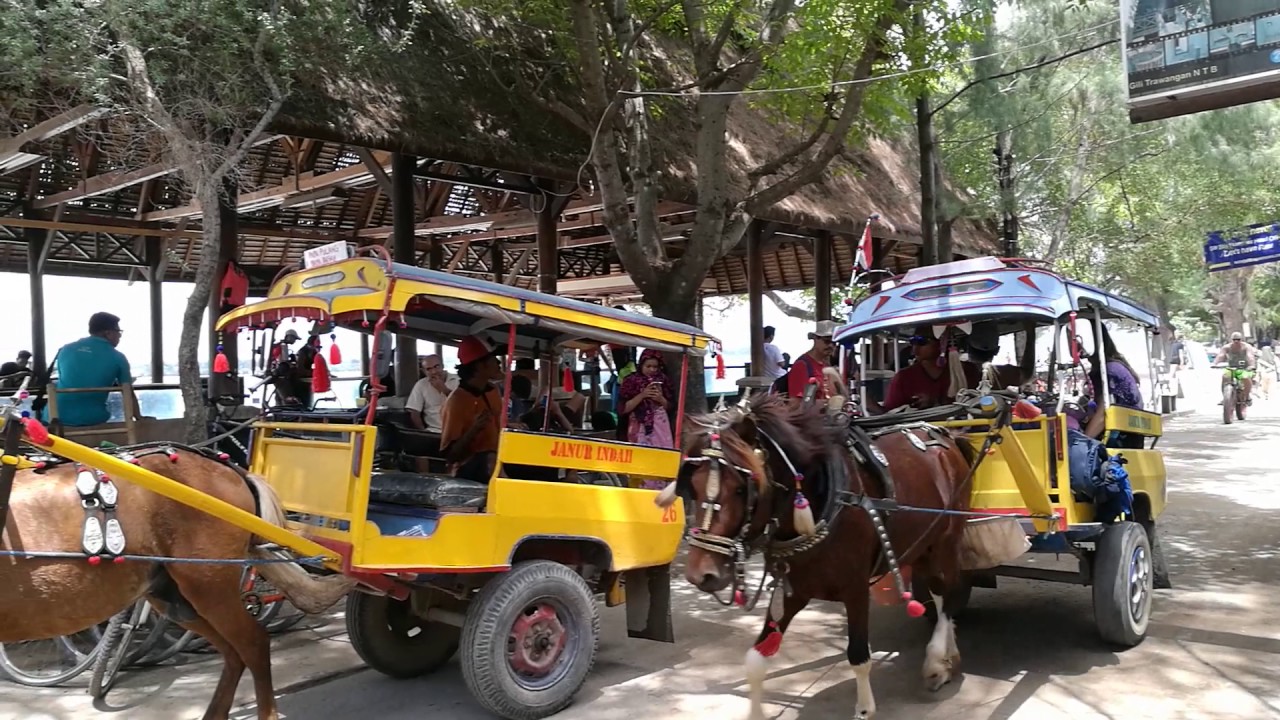 Cidomo transports di Gili Trawangan