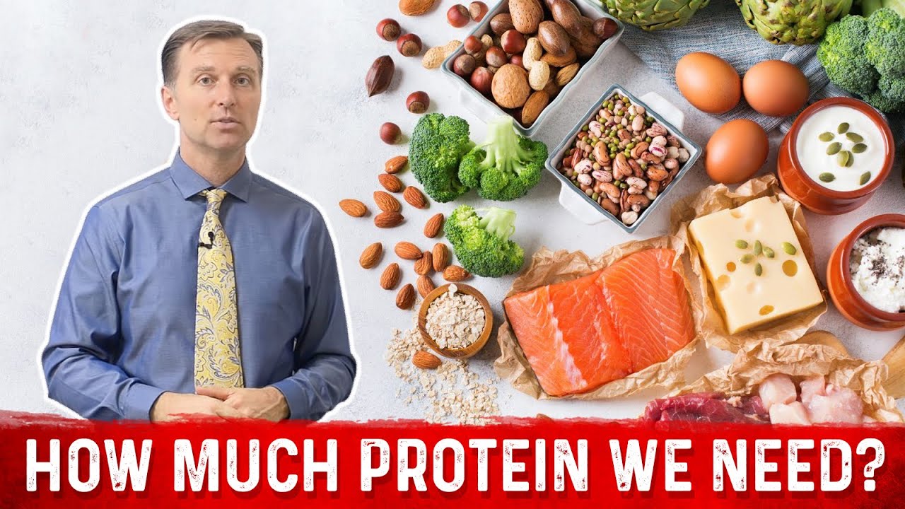 How Much Protein Do You Need? &ndash; Dr. Berg