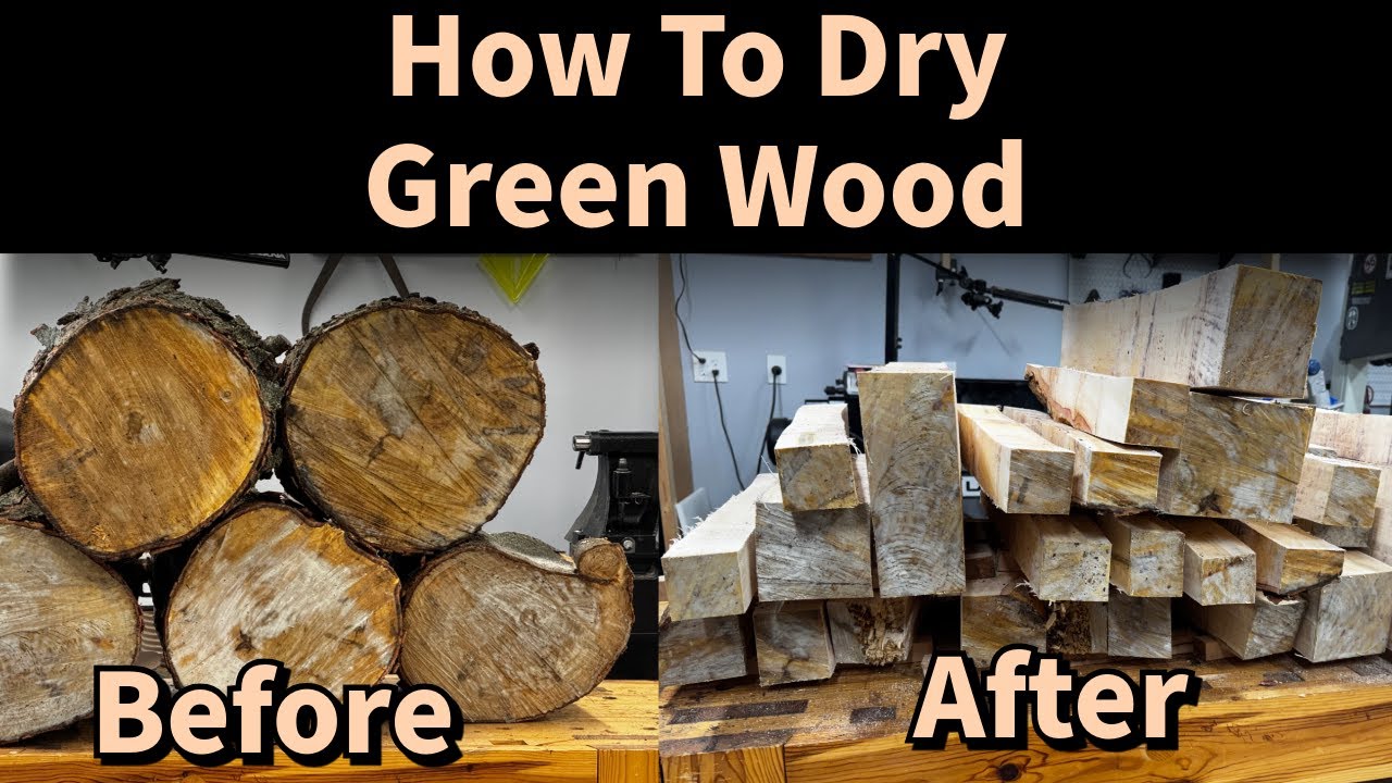 Turning Green Logs Into Future Projects | Wood Drying Basics
