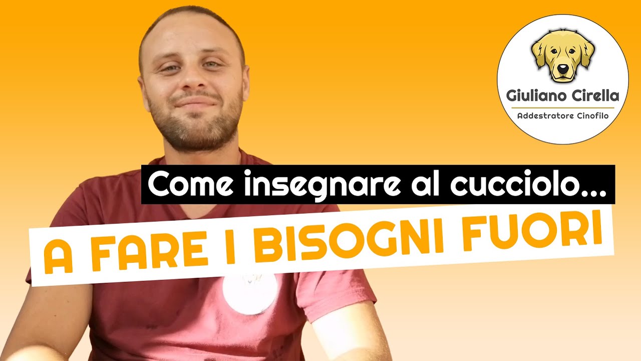 🐶 Come Insegnare al Cucciolo a Fare i Bisogni Fuori Casa (5 Consigli) | Giuliano Addestratore
