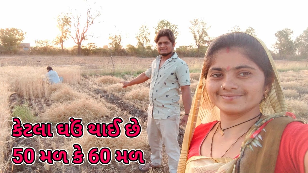 કેટલા ઘઉં થાઈ છે 50 મળ કે 60 મળ ? // Vishal Payal Vlogs / Gujarati Family Vlogs