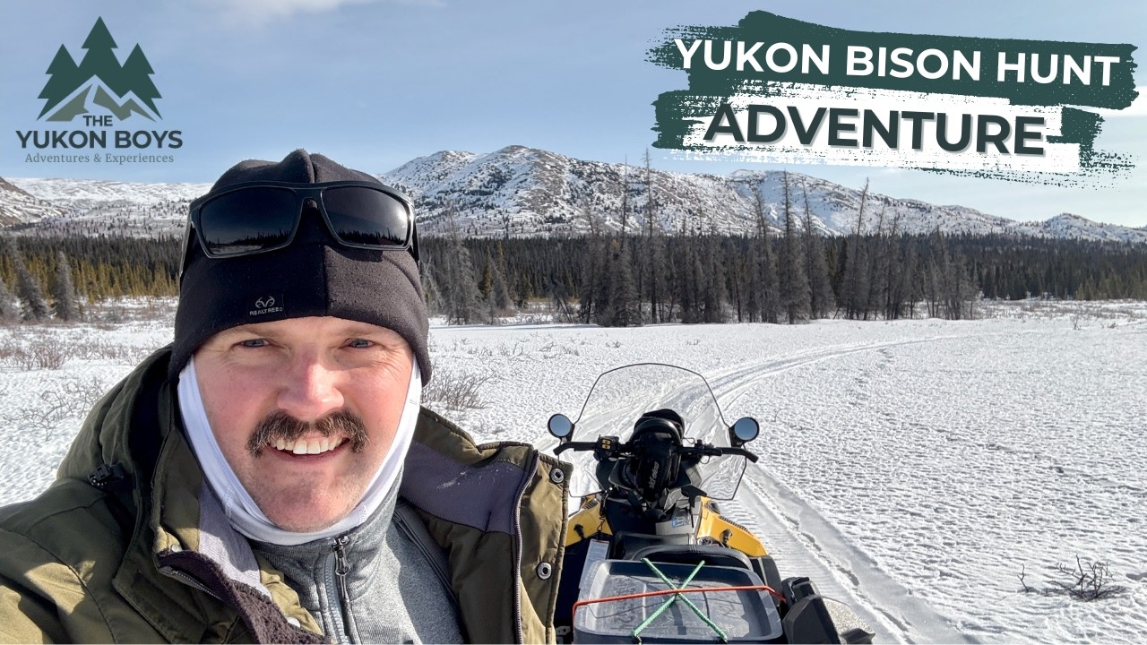 Yukon Bison Hunt Adventure – Hidden Cabins, Frozen Trails, and Wild Encounters!
