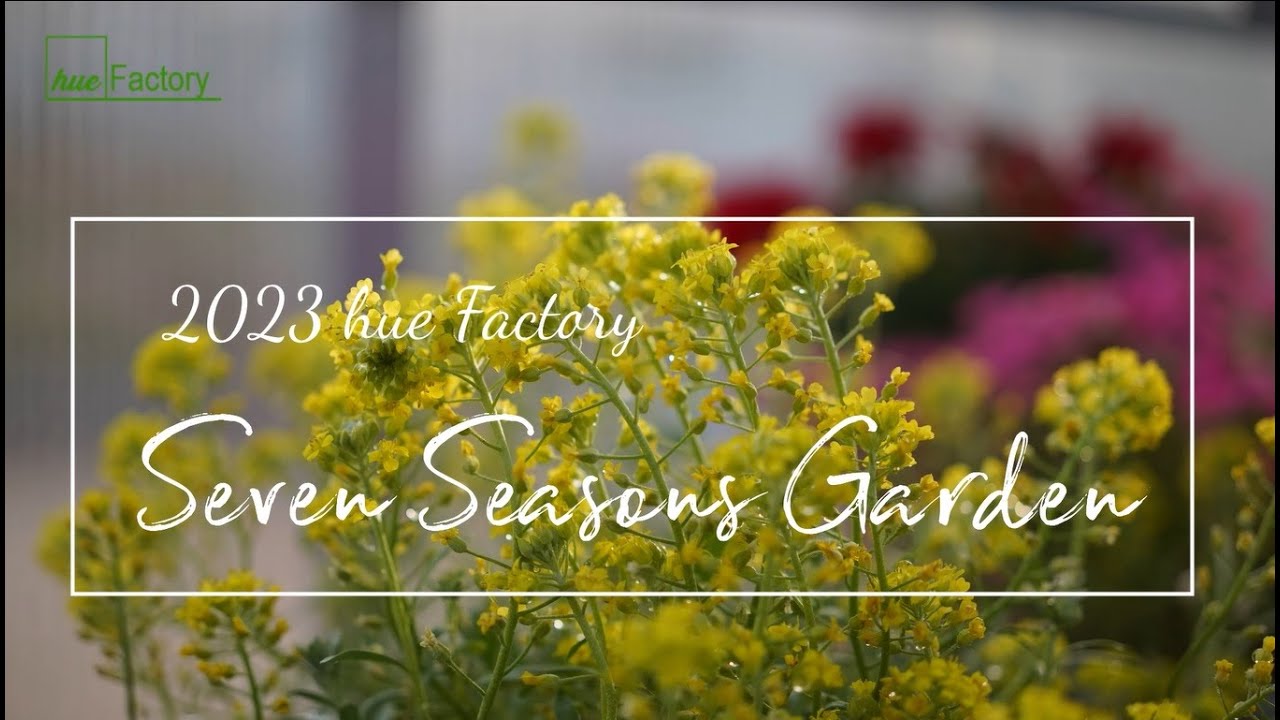 휴팩토리 일곱계절 정원/2023 일년정원 모음/ Seven seasons Garden