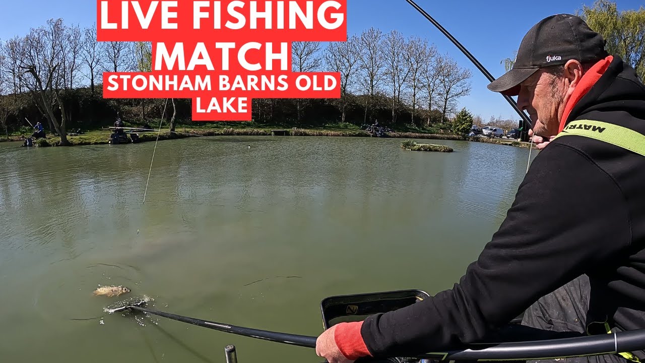 Live Fishing Match Stonham Barns Old Lake ip14 6at,  #matchfishinguk