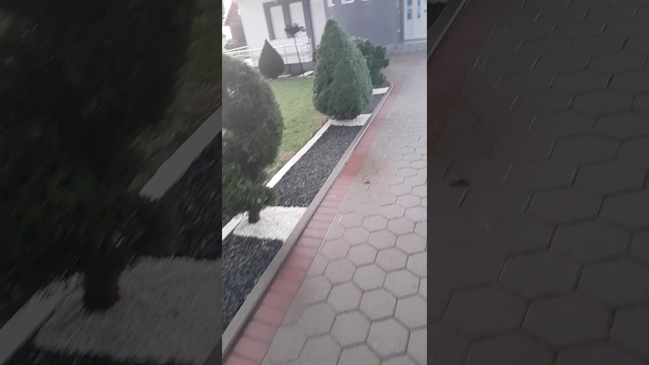 Rregullimi i kopshtit nga lulishtja abazi