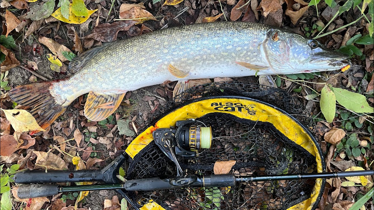 River Brat je poslušao SAVET STAROG RIBARA