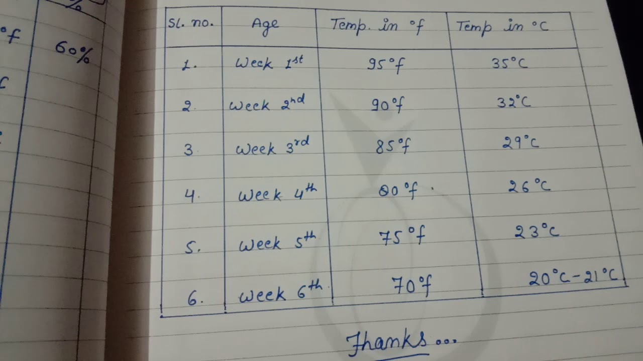 temp. kitna ho murgiyo ke liye jane.
