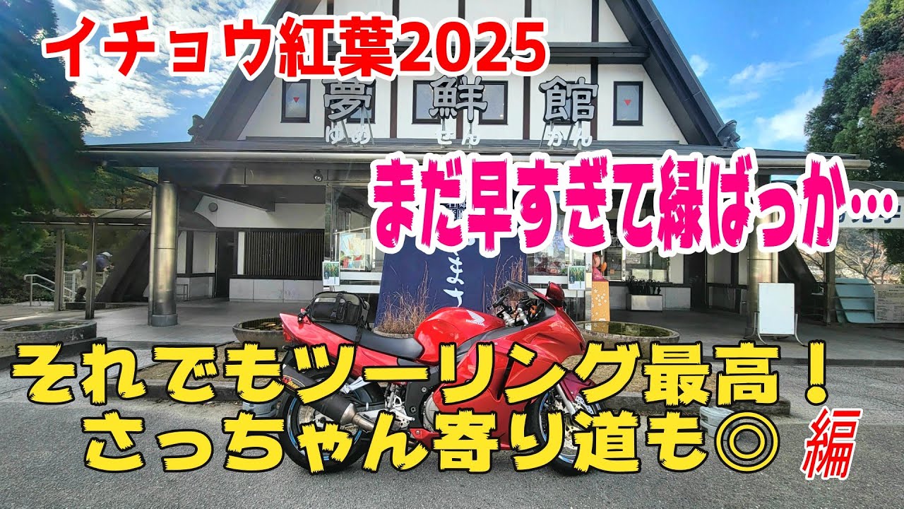 【2025秋】イチョウ紅葉早すぎ！緑ばっかで空振りツーリング→癒し＆さっちゃんで買い出し