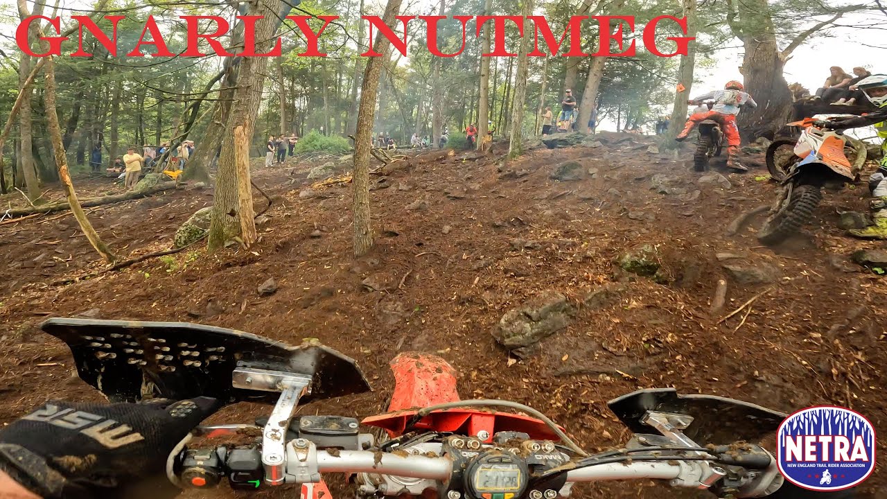 Gnarly Nutmeg Hare Scramble NETRA 2025