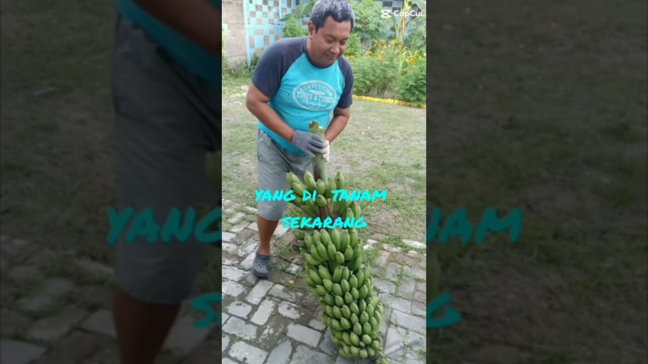Berbuatlah sesuatu yang bergunaPikiran , Hati , Perbuatan baik berikan yang terbaik