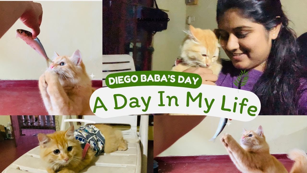 Diego's Day..|| ඩියගෝ බබා වෙනුවෙන් වෙන් කරපු දවසක්.😍