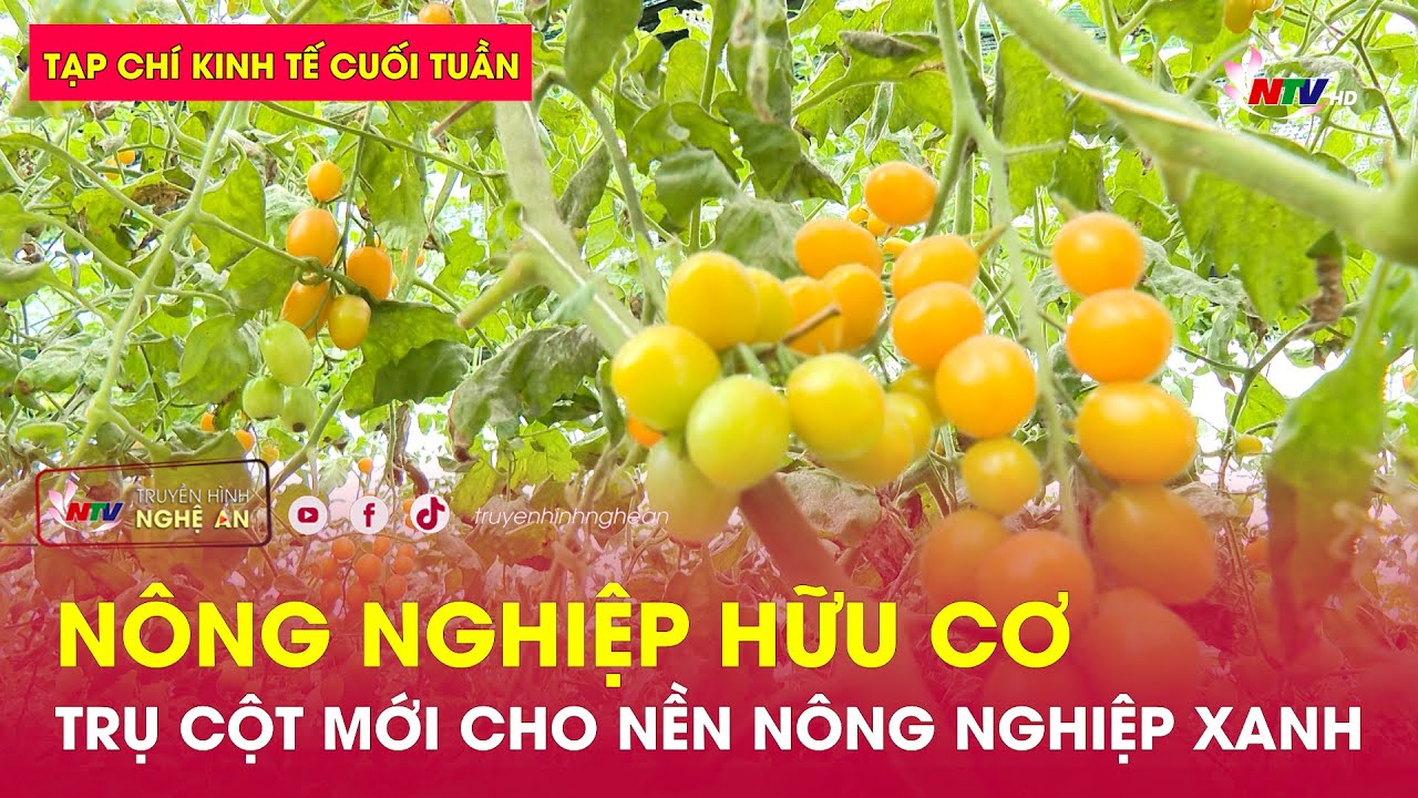 Tạp chí kinh tế cuối tuần: Nông nghiệp Hữu cơ, trụ cột mới cho nền Nông nghiệp xanh