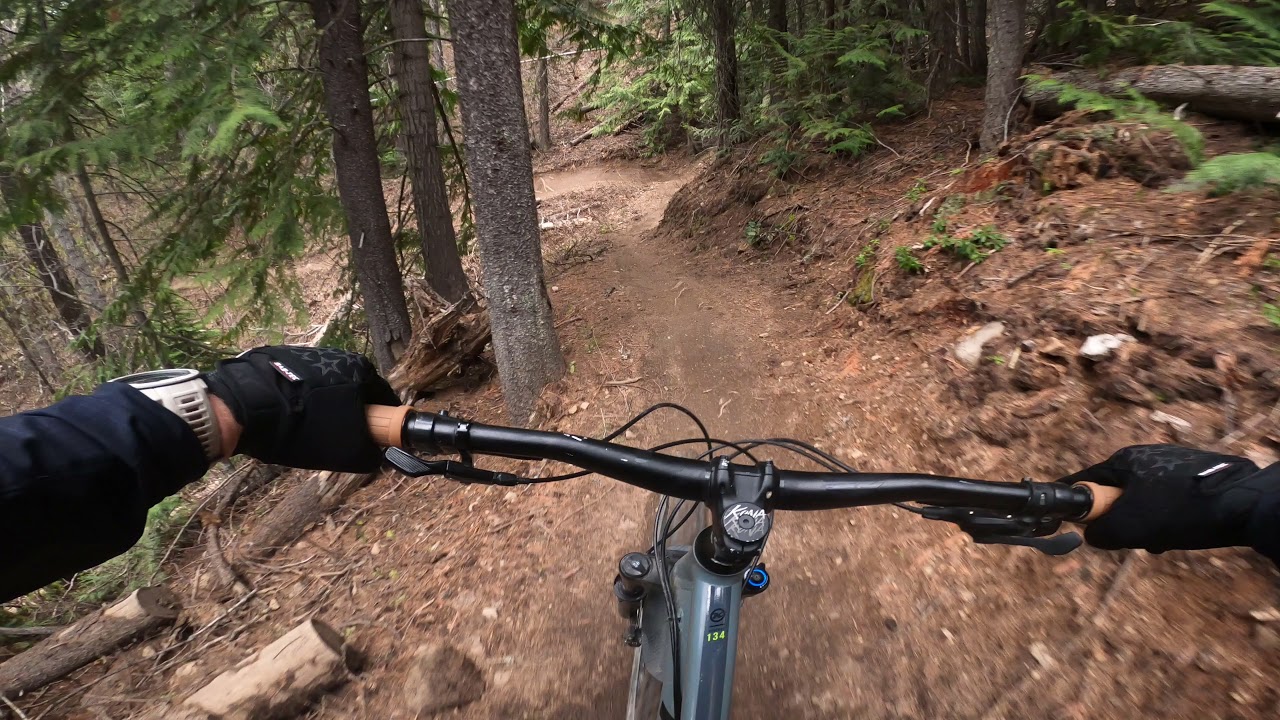 Swine flu Fernie MTB Kona Process 134 2020