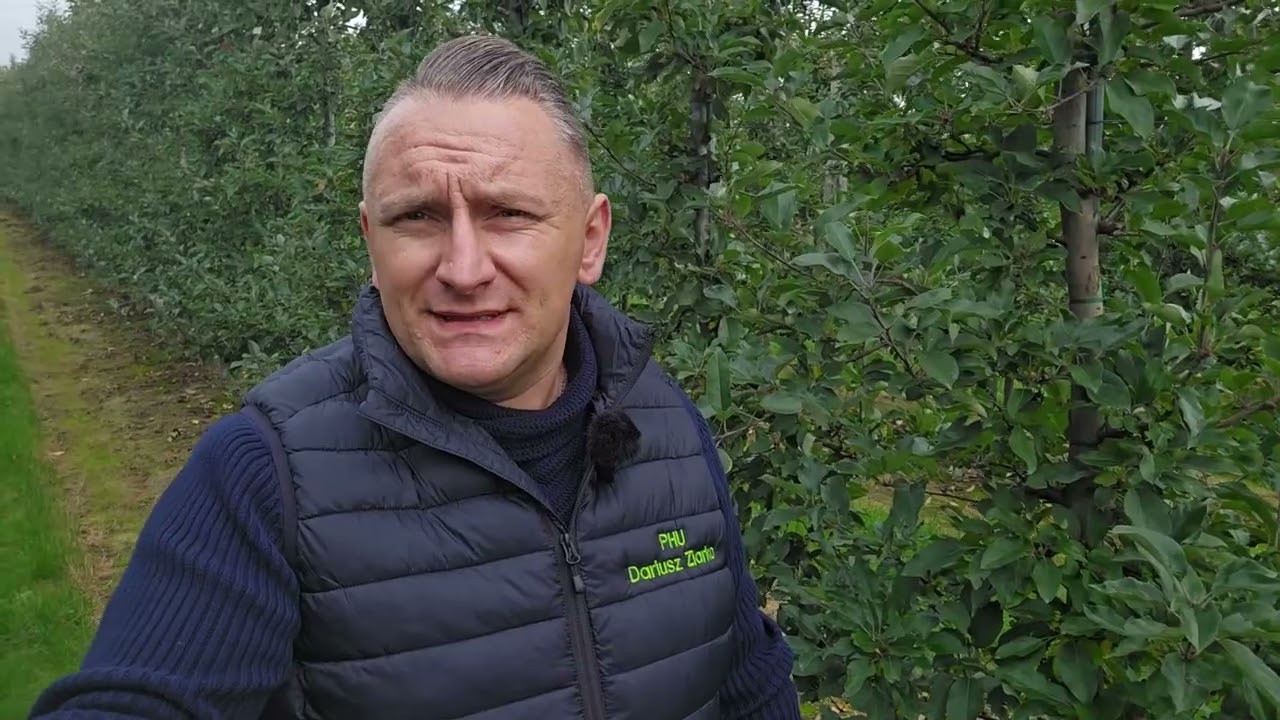 Zabiegi pozbiorcze w sadach jabłoniowych, 17.10.2025