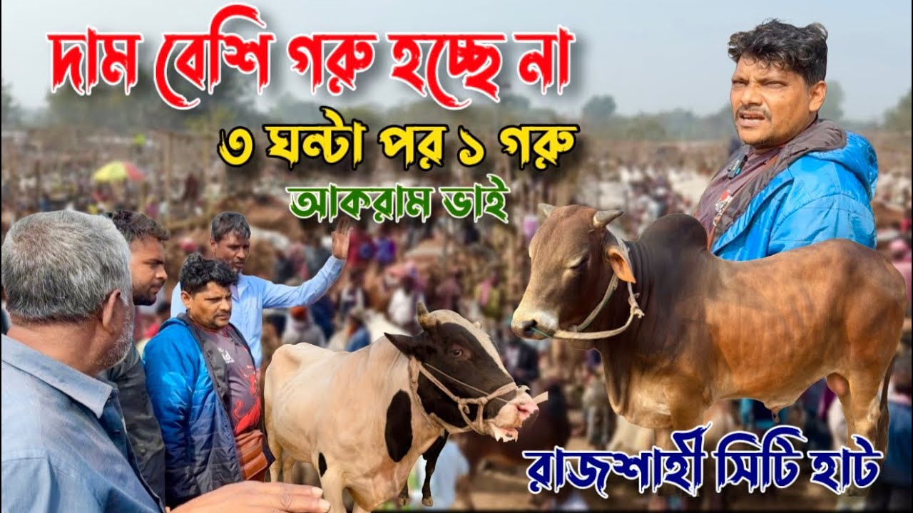 ৩ ঘন্টা পর ১ গরু🔥গরু হচ্ছে না আকরাম ভাইয়ের🔥বাজার আগুন🔥রাজশাহী সিটি হাট 