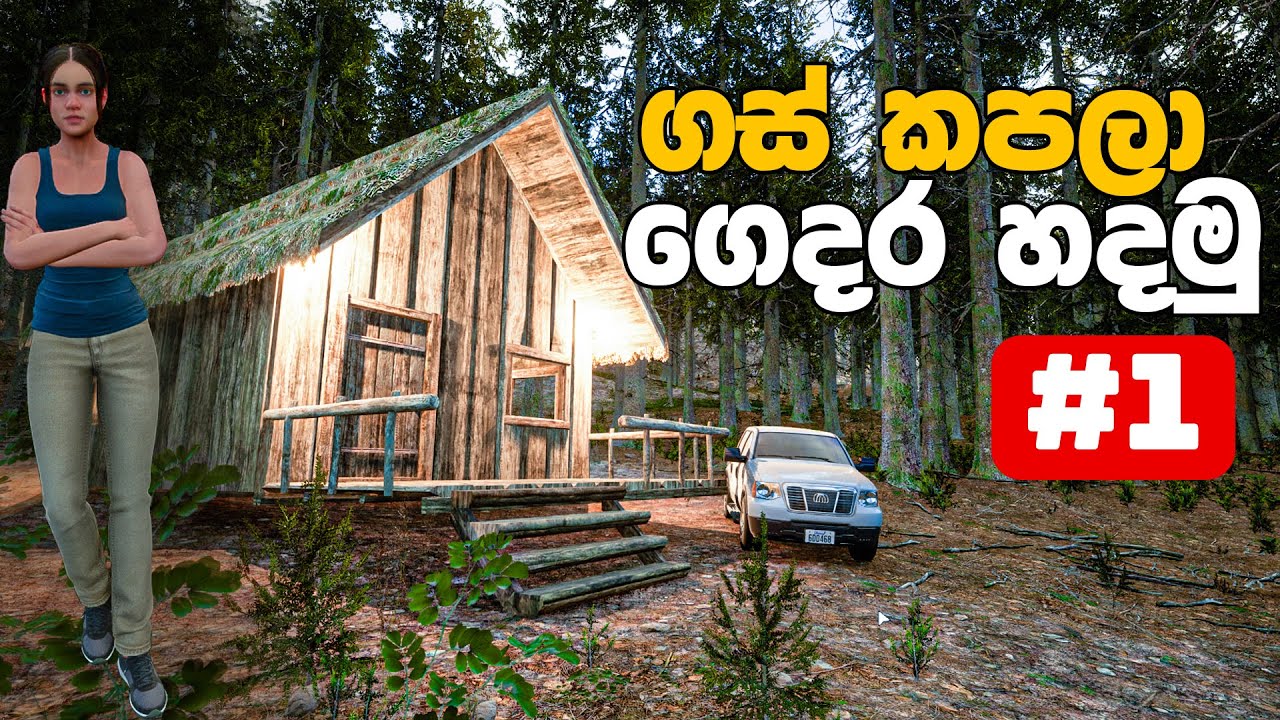 I made a house on a mountain in the Evergreen Mountain Life Simulator PC gameplay #1