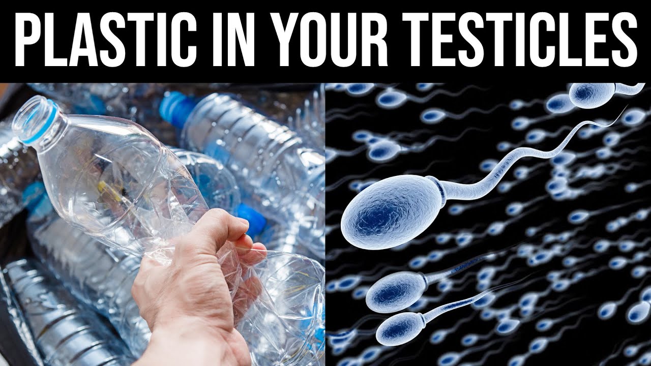 There are Microplastics in Your Testicles - Here's What You Can Do About it