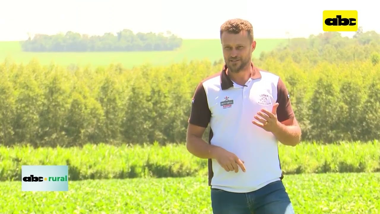Productor de San Alberto diversifica con Agricultura, Forestal y Pecuaria