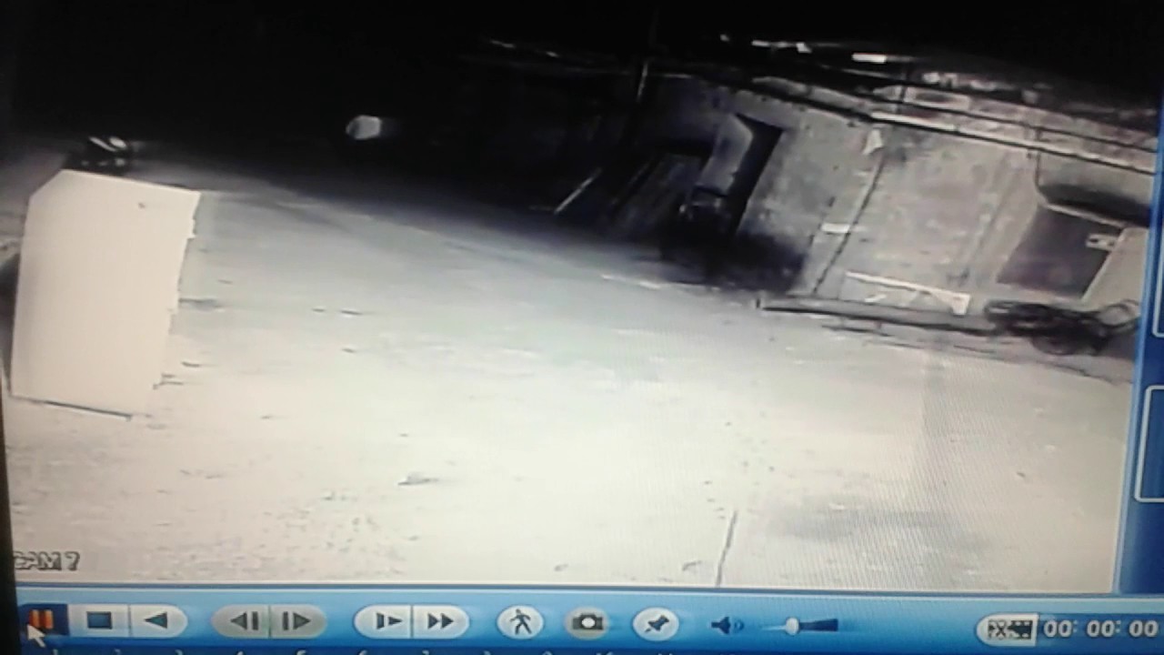 Real Bear attack on man in mount abu