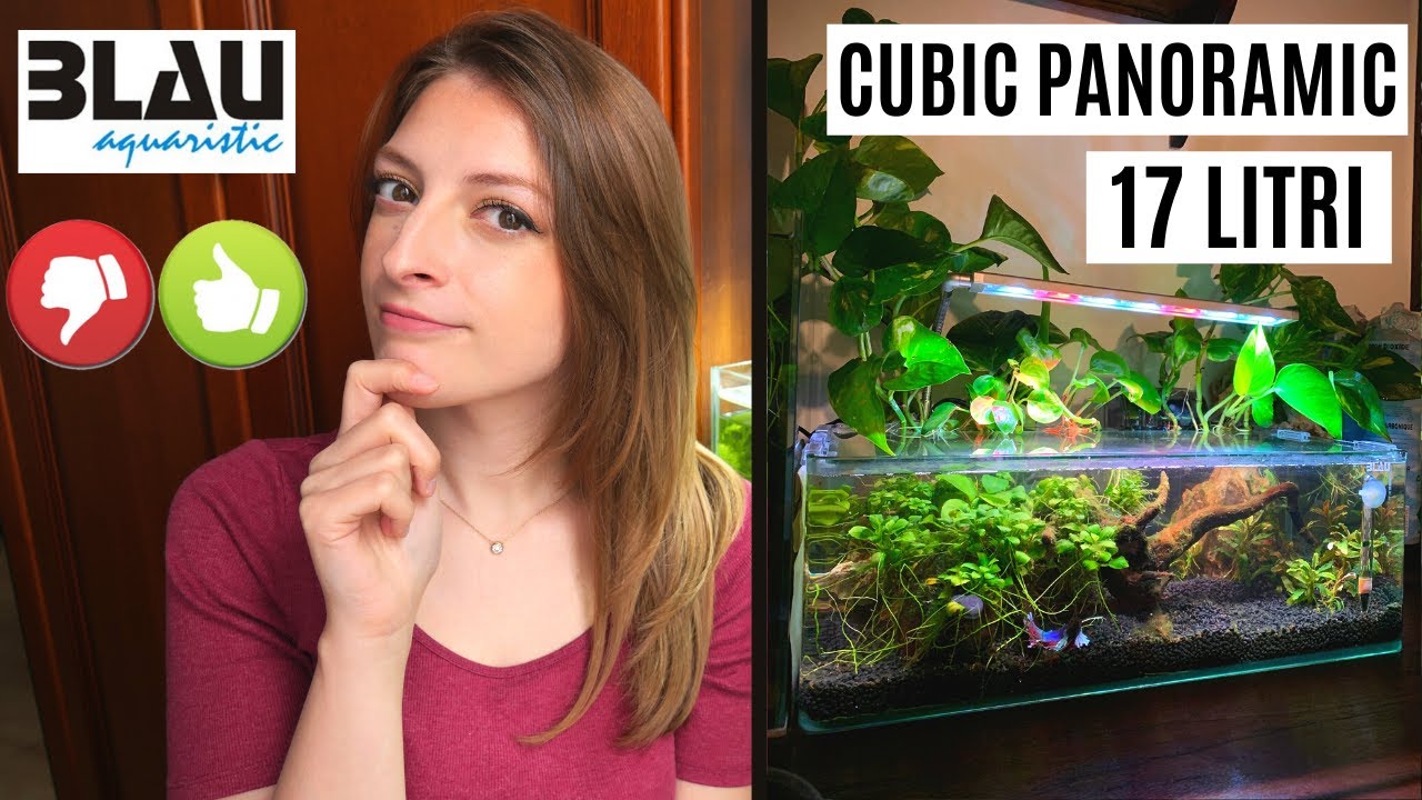 ACQUARIO 17 litri Cubic Panoramic Blau, cosa ne penso? 🤔