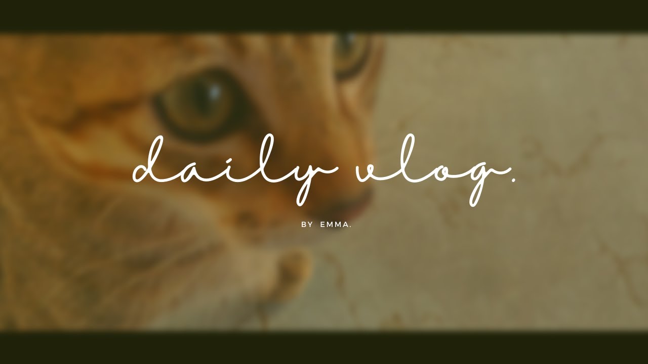 daily vlog (Philippines)