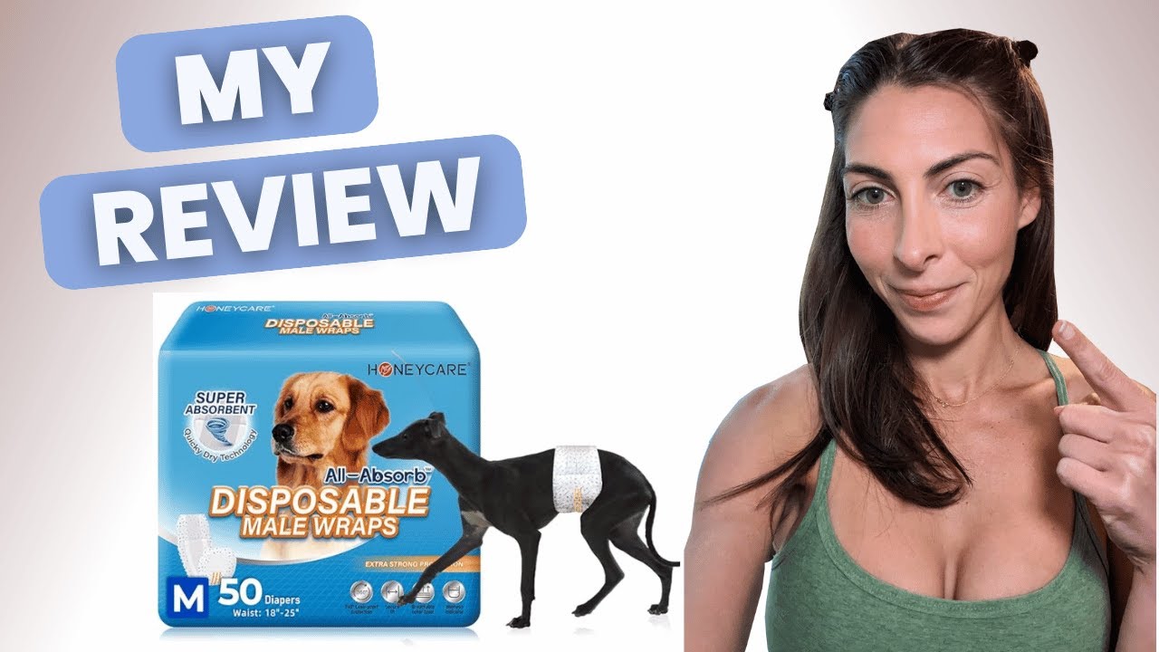 Honest Review of Male Dog Diaper Wraps, Do They Work or Bother Your Dog