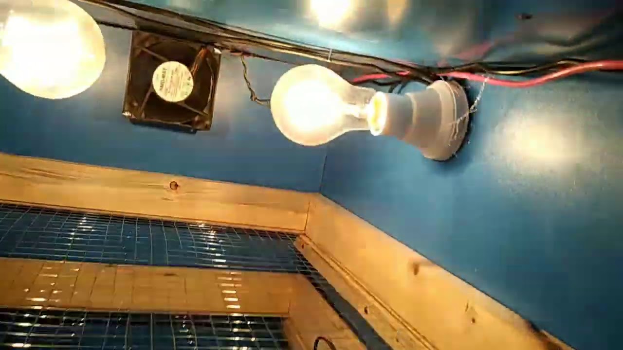 200 Eggs manual Incubator | Incubator for eggs hatching | URDU HINDI