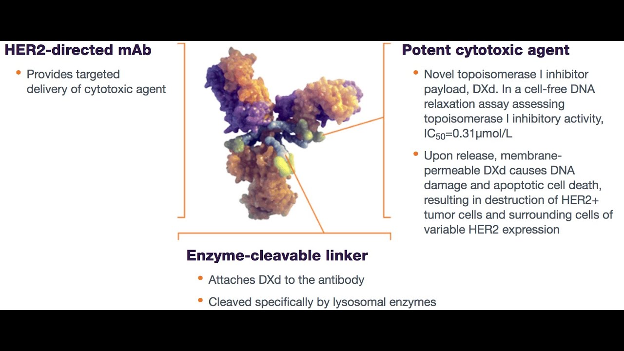 Management of Her 2 Positive Metastatic Breast Cancer