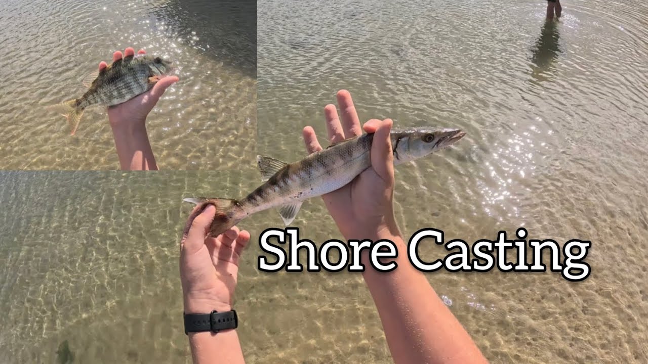 🎣Shore Casting Mauritius |🐟 Catching fish and enjoying at sunset 🤩| Beach Fishing 2025🎣