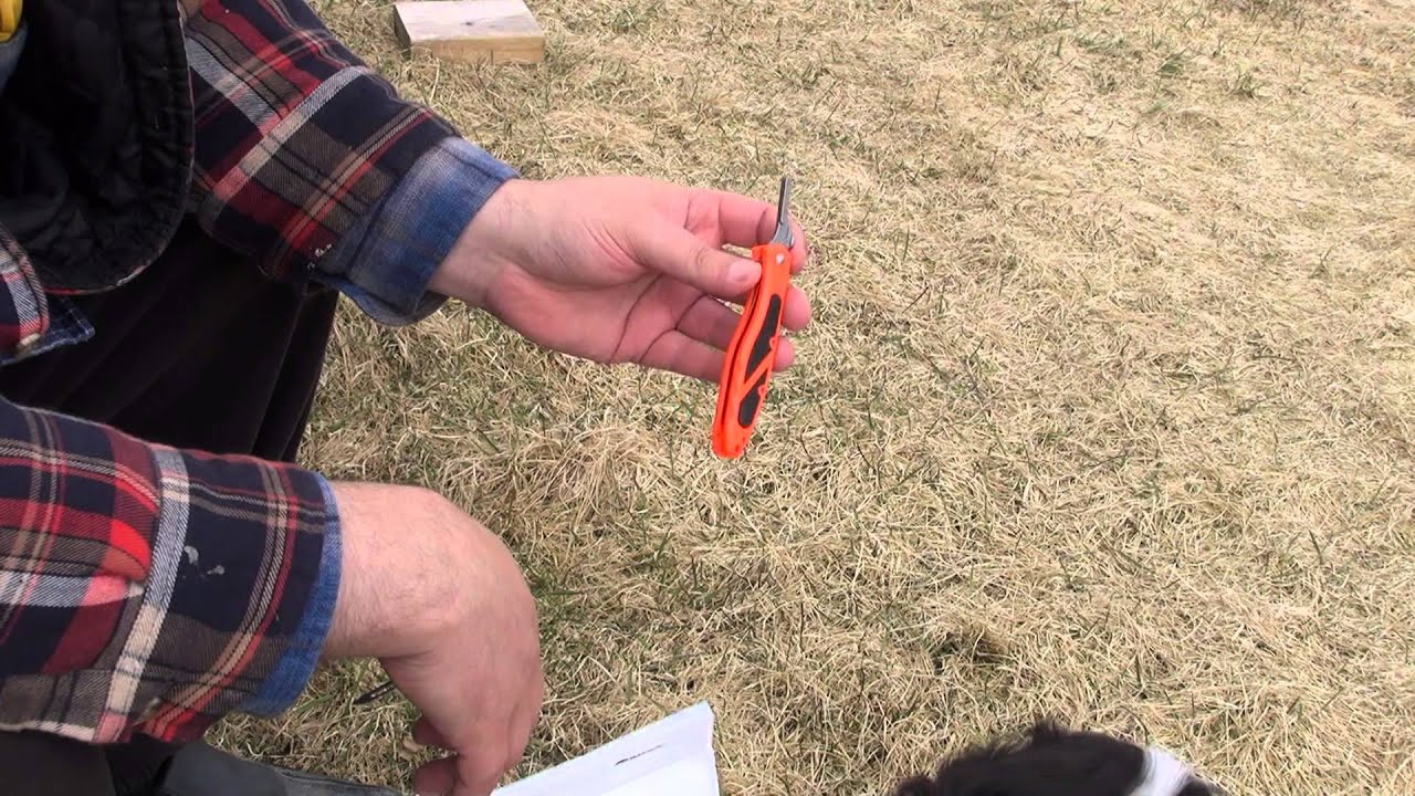 Havalon Piranta Edge : one week in review (utility and wood working)