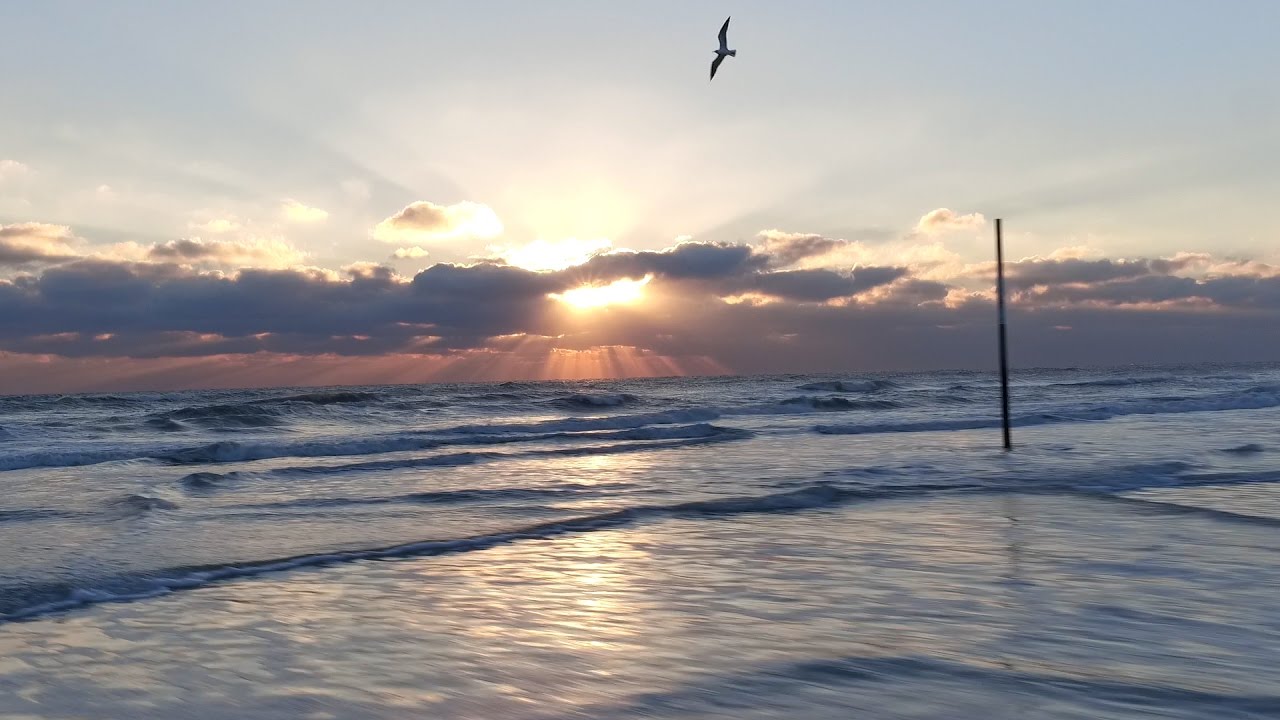 Daytona Beach - Aerial Video | Vibrant Media Productions