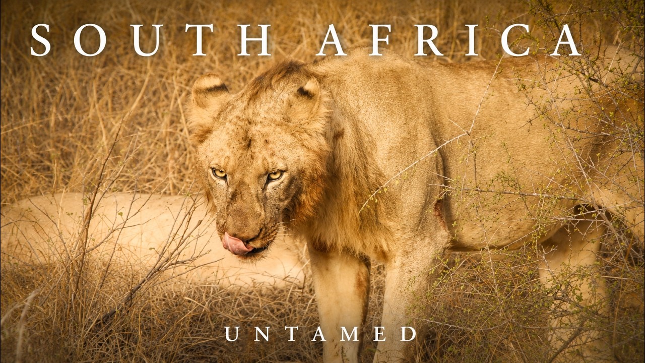 South Africa Untamed - A Cinematic Travel Film