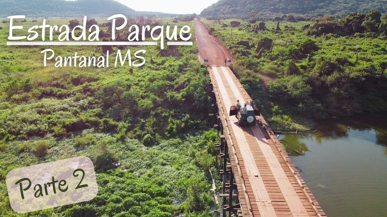 ESTRADA PARQUE PARTE 2 - PANTANAL MS | O que fazer no Pantanal | Pousada Xaraés | Pousada São João