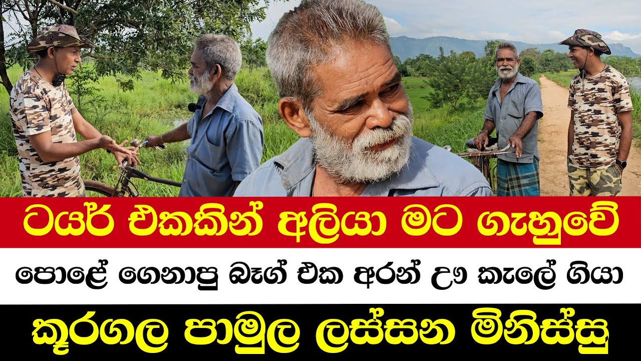 ටයර් එකකින් අලියා මට ගැහුවේ | පොළේ ගෙනාපු බෑග් එක  අරන් ඌ කැලේ ගියා | කූරගල පාමුල ලස්සන මිනිස්සු